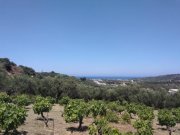 Polemarchi Kreta, Polemarchi: Grundstück in schöner Landschaft mit Meerblick zu verkaufen Grundstück kaufen